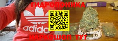 мдпв Новокубанск