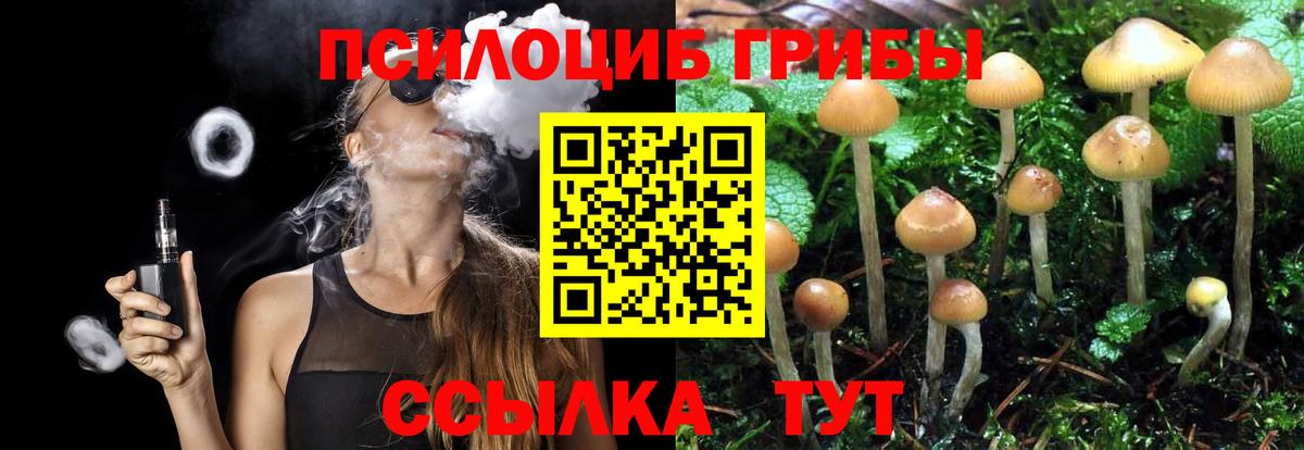 Галлюциногенные грибы Psilocybe  Галлюциногенные грибы прущие грибы  Вход с VPN  Ржев 