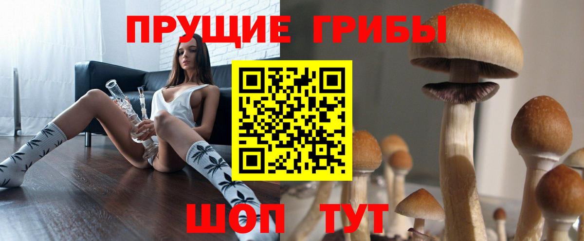 Псилоцибиновые грибы ЛСД Ржев